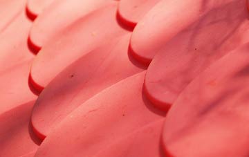 Hallow Heath plastic roof costs