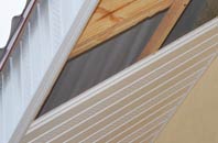 rated Hallow Heath soffit repair companies
